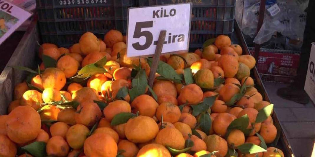 Sezonu 15 TL’den açtı fiyat düşüşü onu en ucuz meyve yaptı: Dalında 3, pazarda 5-10 TL! 5